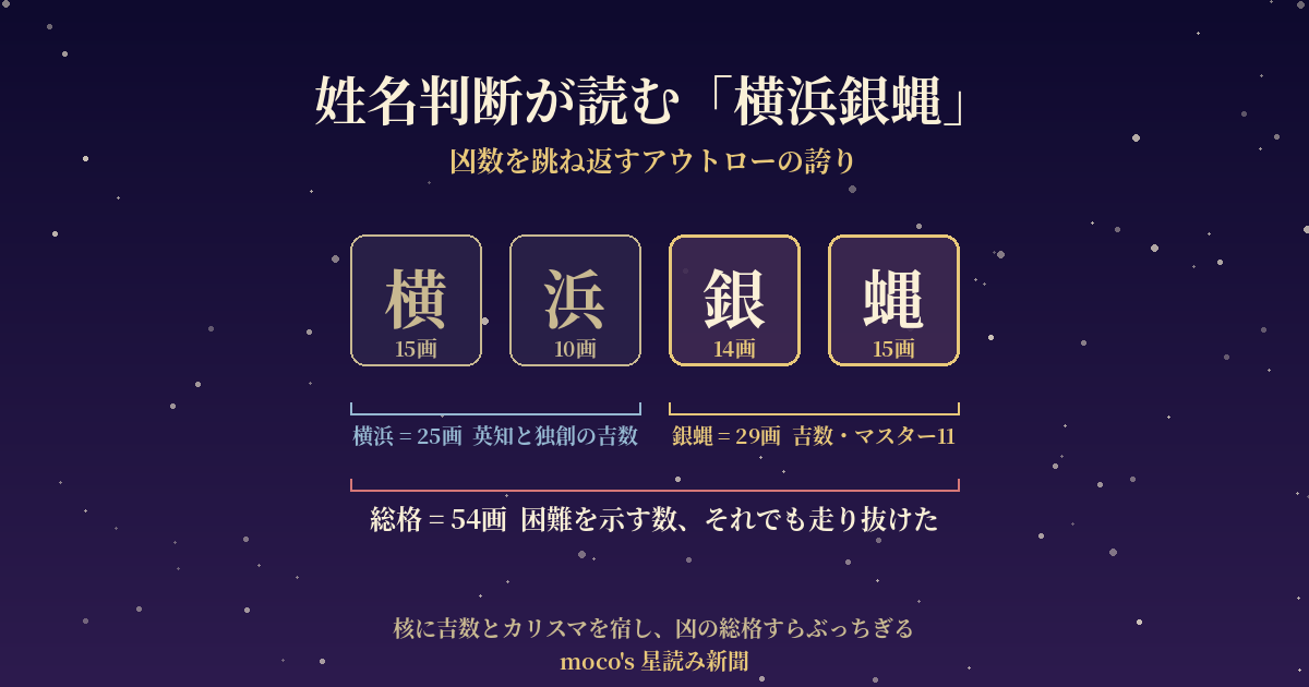 横浜銀蝿の姓名判断 総格54と核の銀蝿29 横浜25の画数構造図